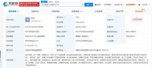 四川路桥比亚迪合资矿业公司注销 跨界合作落幕，互联网销售模式下的矿业转型反思