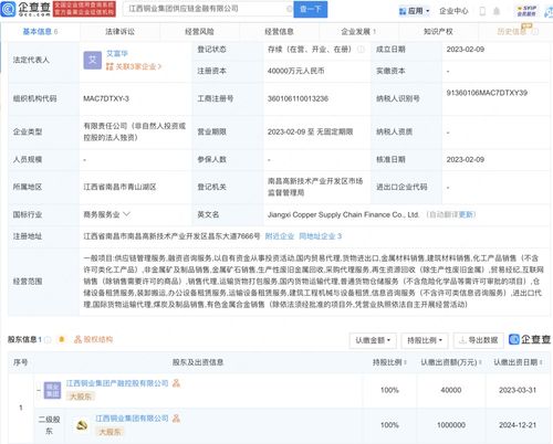 国内贸易代理 连接供需的专业桥梁